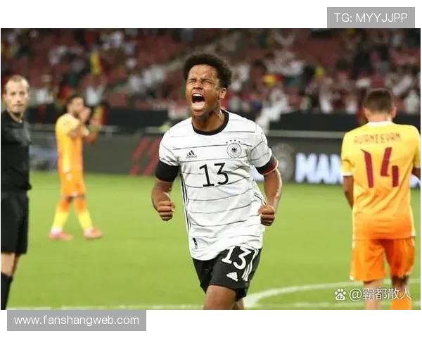 多特队内讨论阿德耶米情绪失控问题 强调该行为已成不良习惯